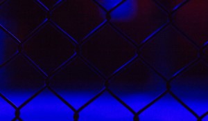 Recap of UFC Event in Perth, Australia