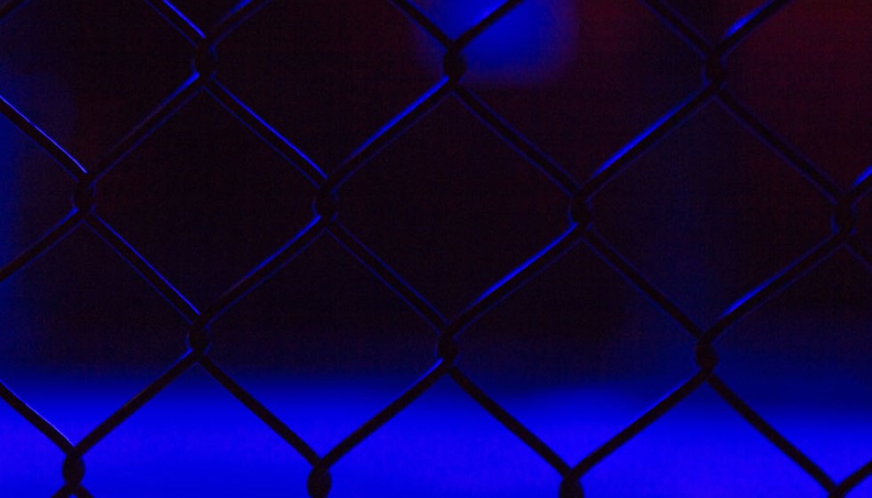 The Octagon in Macao: Yan's Decisive Victory